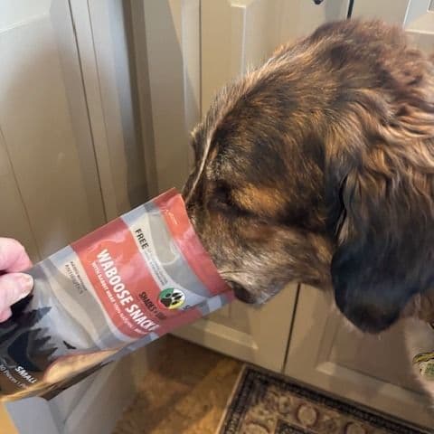 Shades of Gray Indigenous Pet Treats product showcase