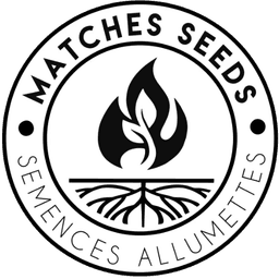 Matches Seeds logo