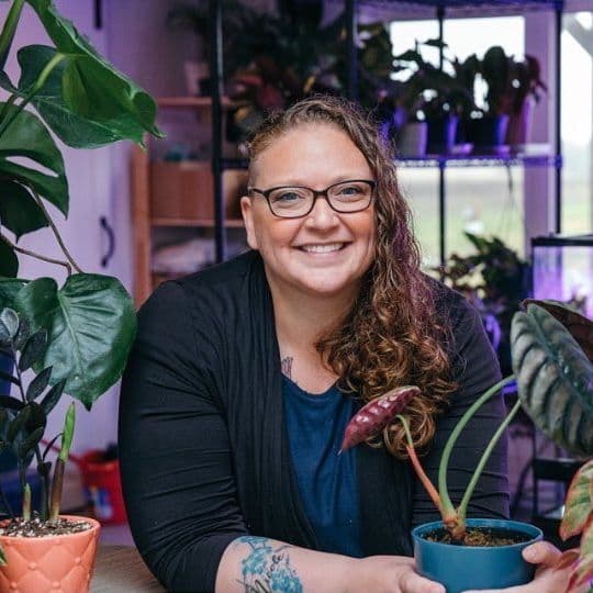 Sweetlife Flora product showcase