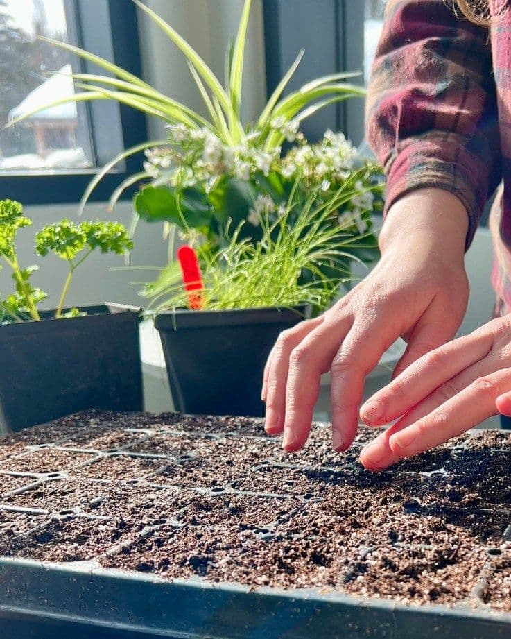 Les Jardins de l'écoumène product showcase
